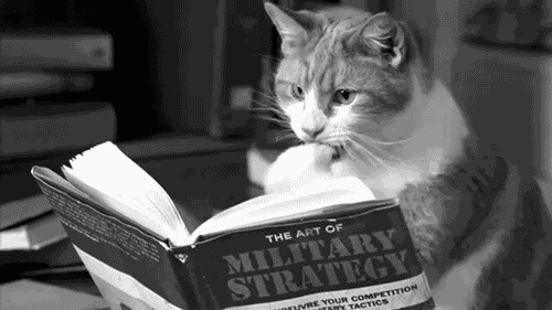 to read 